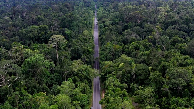 无人机视角的道路通过森林建立旅行拍摄旅程视频素材