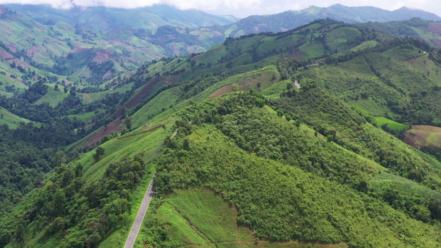 空中视角的道路通过森林建立镜头视频素材