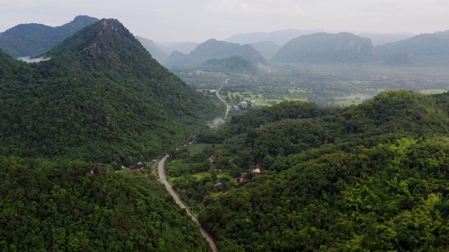 空中视角的道路通过森林建立镜头视频素材