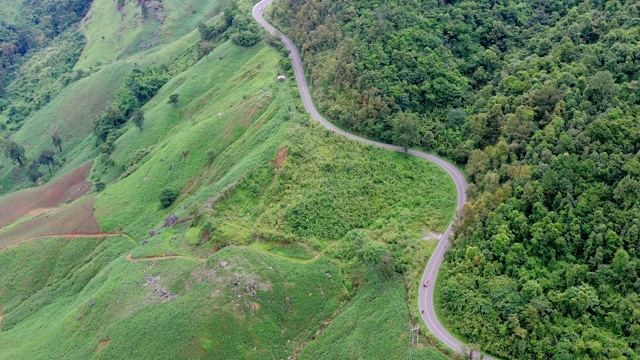 空中视角的道路通过森林建立镜头视频素材