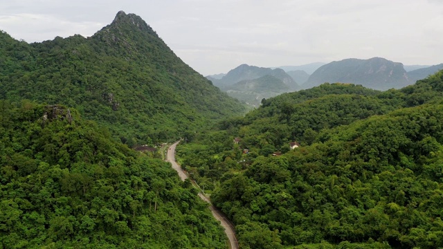 空中视角的道路通过森林建立镜头视频素材