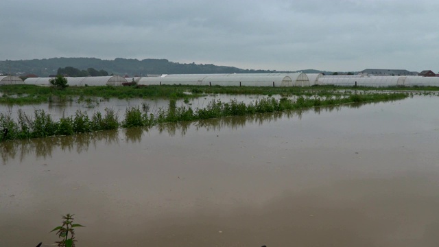 暴雨后农田被淹没视频素材