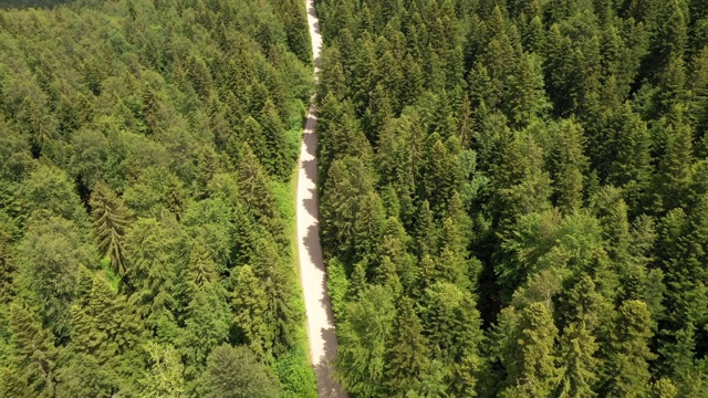 穿越森林的公路旅行视频素材