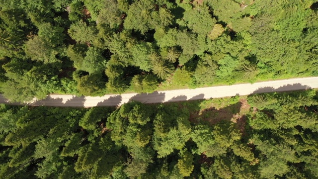 穿越森林的公路旅行视频素材