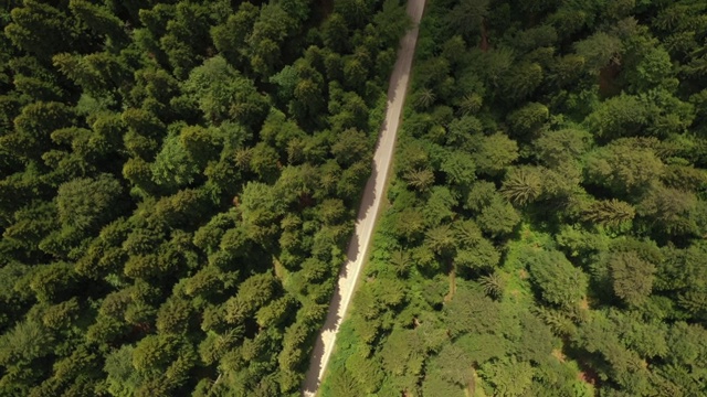 穿越森林的公路旅行视频素材