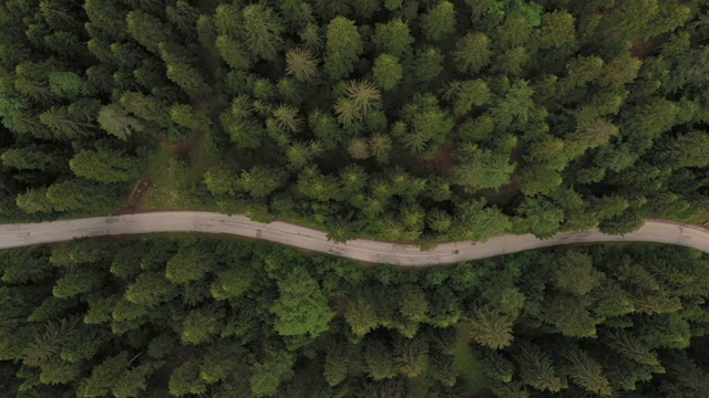 穿越森林的公路旅行视频素材