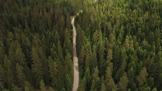 穿越森林的公路旅行视频素材