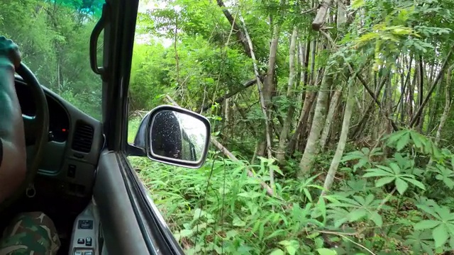 在土路上行驶，进入荒野视频素材