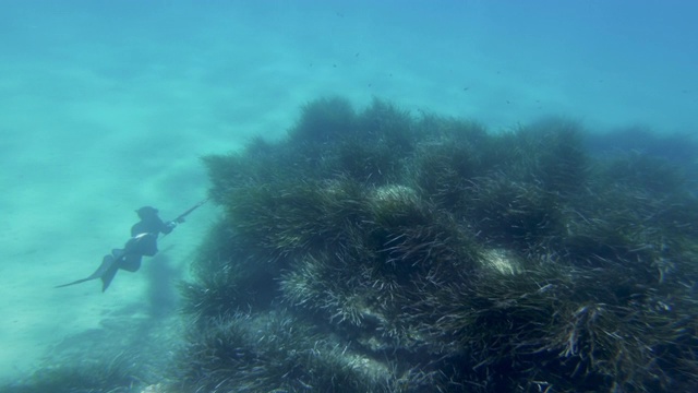 在蓝色的海洋中自由潜水者用鱼叉捕鱼:在地中海的冒险视频素材