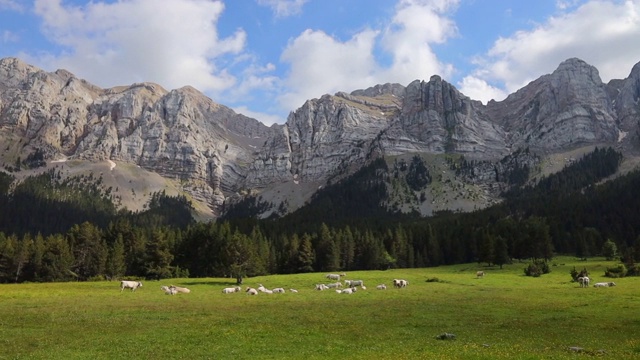 令人惊叹的比利牛斯山脉在夏天的山脊和高山草甸。Los Pirineos en verano。视频素材