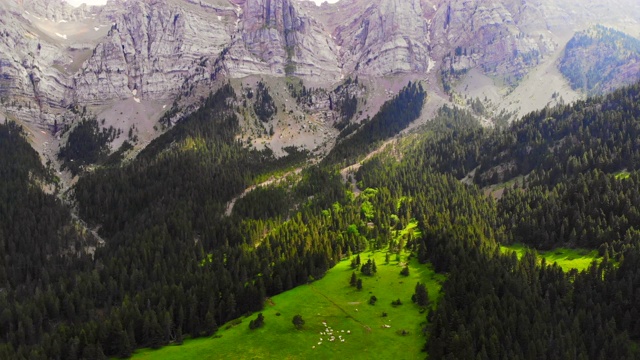 鸟瞰图令人惊叹的比利牛斯山脉在夏天的山脊和高山草甸。Los Pirineos en verano ha drone..视频素材