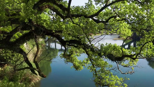 亚洲华人乡村风光视频素材