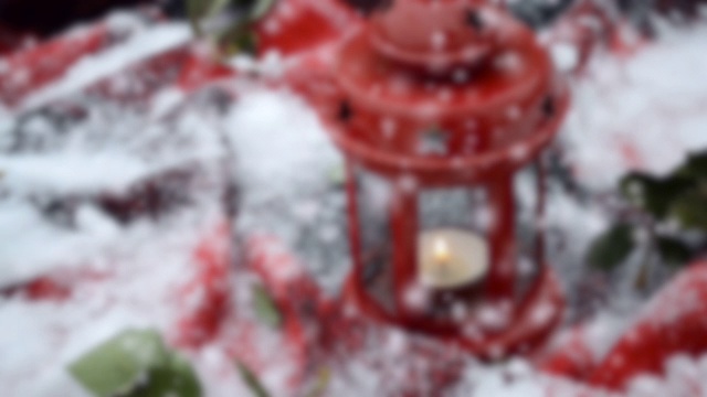 17、花灯红烛绿叶雪。视频购买