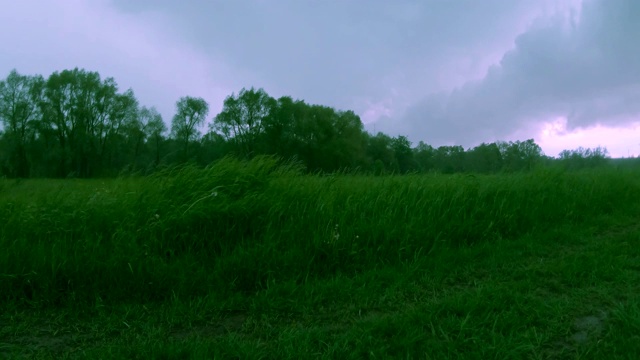 雨下着，紫色的闪电在天空闪闪发光，一阵大风荡起绿色的小草。天空布满了铅云。视频素材