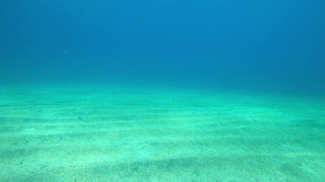 深蓝色的海洋，白色的海底和水下的阳光视频素材