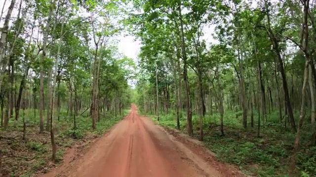 在通往雨林的土路上开车视频素材