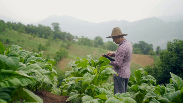 农民使用数字平板电脑在农场视频素材