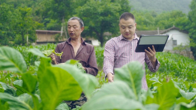 农民使用数字平板电脑在农场视频素材