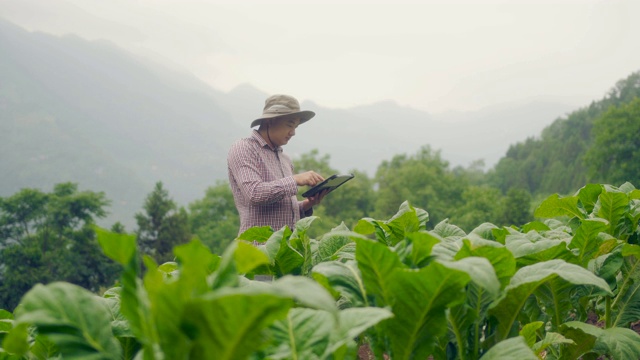 农民使用数字平板电脑在农场视频素材