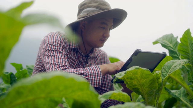 农民使用数字平板电脑在农场视频素材