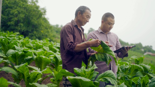 农民使用数字平板电脑在农场视频素材