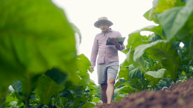 农民使用数字平板电脑在农场视频素材