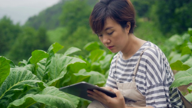 农民使用数字平板电脑在农场视频素材