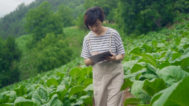 农民使用数字平板电脑在农场视频素材