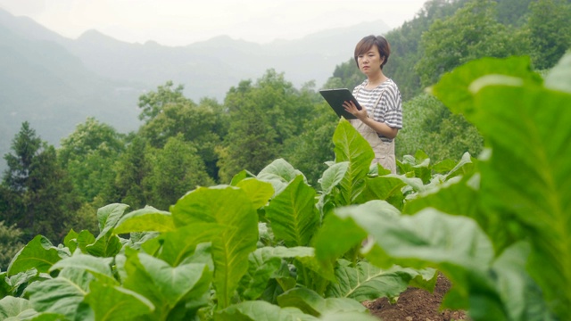 农民使用数字平板电脑在农场视频素材