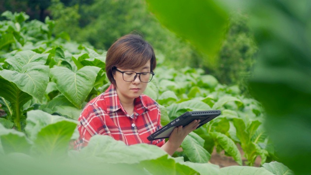 农民使用数字平板电脑在农场视频素材