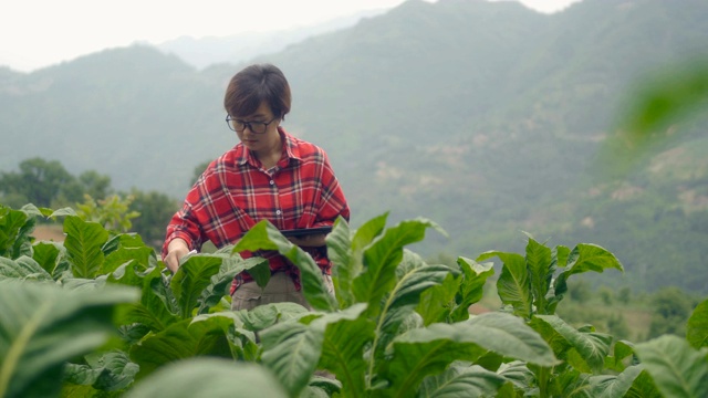 农民使用数字平板电脑在农场视频素材