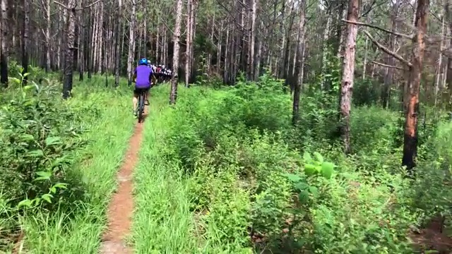 男子山地自行车穿越森林，奥卡拉，佛罗里达视频素材