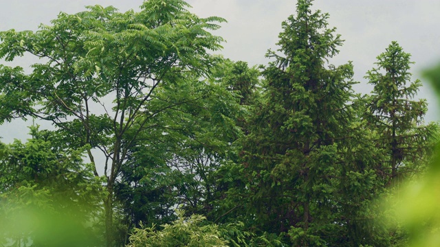 雨天的场景视频素材