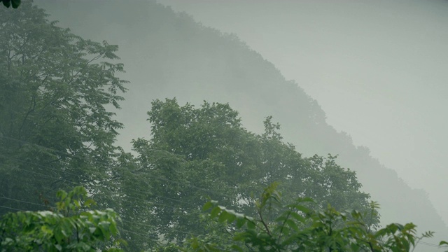 雨天的场景视频素材