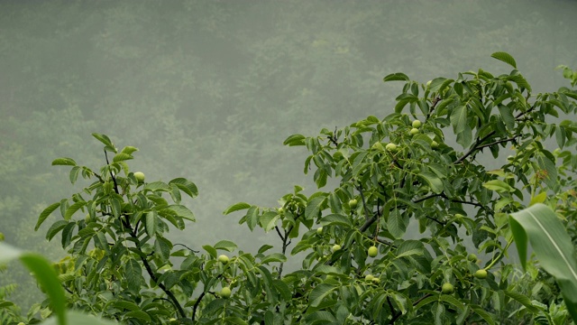 雨天的场景视频素材