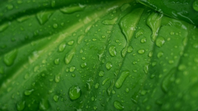 雨天的场景视频素材