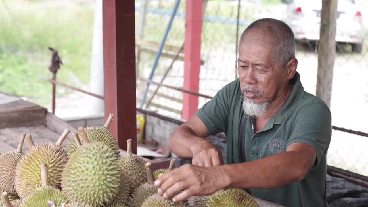 马来西亚本土产品:榴莲视频素材