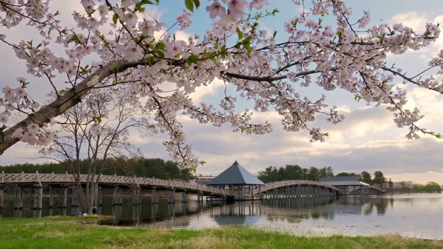 日本青森县北糖谷区，有湖和鹤井桥的景观视频素材