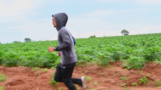 人们在东南亚的天然森林里慢跑视频素材