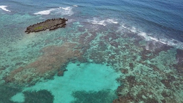 加勒比海的度假胜地被珊瑚礁包围，是潜水、划桨、皮划艇和游泳的好去处。视频素材