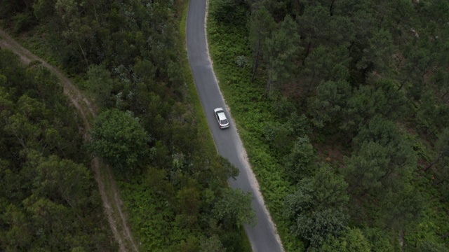 一辆灰色汽车在绿色森林的道路上行驶的鸟瞰图，从上方的无人机在汽车上方拍摄视频素材