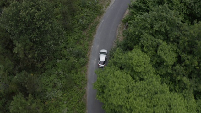 一辆灰色汽车在绿色森林的道路上行驶的鸟瞰图，从上方的无人机在汽车上方拍摄视频素材