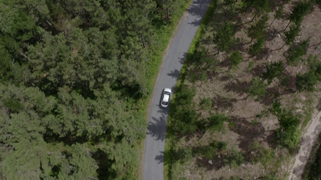 一辆灰色汽车在绿色森林的道路上行驶的鸟瞰图，从上方的无人机在汽车上方拍摄视频素材