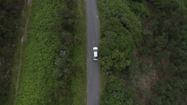 一辆灰色汽车在绿色森林的道路上行驶的鸟瞰图，从上方的无人机在汽车上方拍摄视频素材