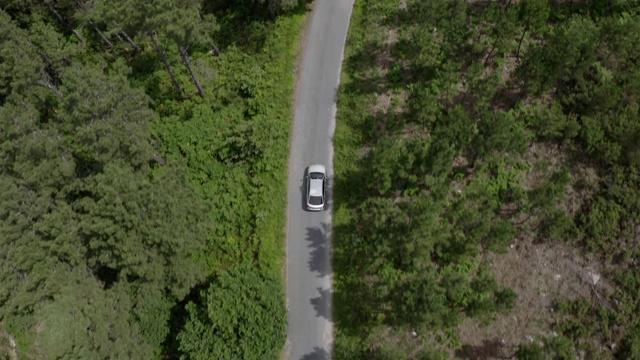 一辆灰色汽车在绿色森林的道路上行驶的鸟瞰图，从上方的无人机在汽车上方拍摄视频素材