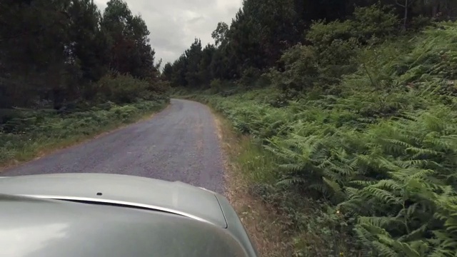 汽车快速行驶在穿越森林的道路上，从车窗侧望，摄像头向前，天气阴云密布视频素材