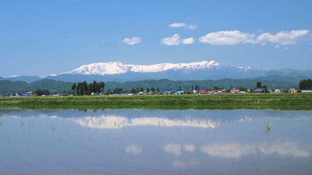 WS空中稻田，城镇和雪山，相珠若松，日本福岛县视频素材