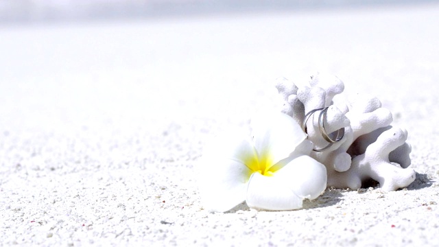 结婚戒指在珊瑚装饰的白色鸡蛋花花沙滩靠近绿松石海视频素材