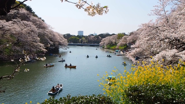 千代田，东京/日本视频素材