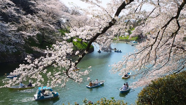 千代田，东京/日本视频素材